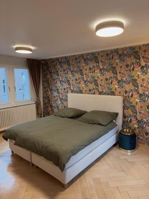 Suesse Wohnung In Zuercher Altstadt 3 زيورخ المظهر الخارجي الصورة